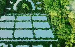 Vista aérea de uma floresta com o contorno de uma casa com painéis solares formado na vegetação