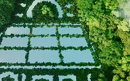 Vista aérea de uma floresta com o desenho de um painel solar